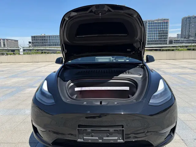 Tesla Model Y — Фото автомобиля 10