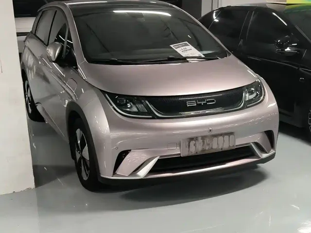 BYD Dolphin — Фото автомобиля 12