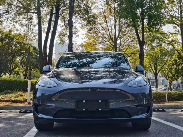 Tesla Model Y — Фото автомобиля 2