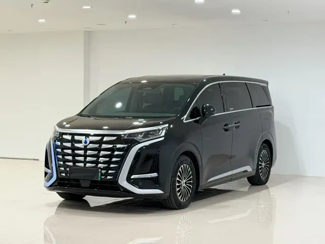Фотография автомобиля — Denza D9