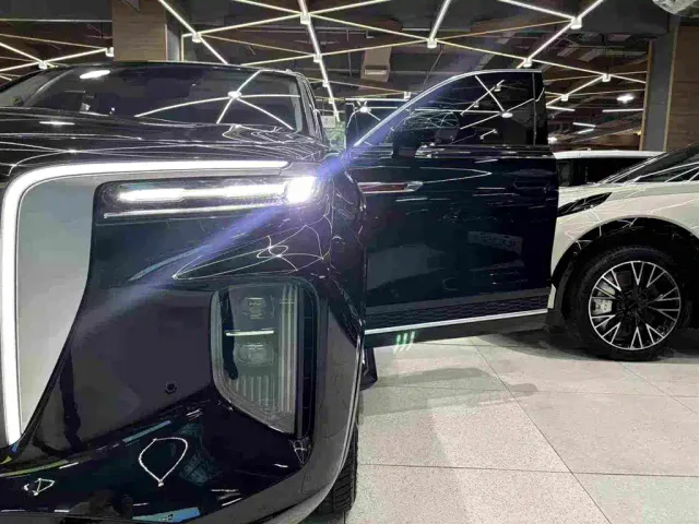 Hongqi E-HS9 — Фото автомобиля 14