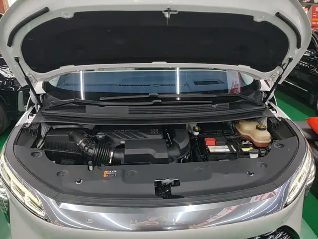 Buick Century — Фото автомобиля 19