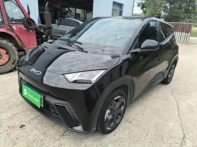 Фотография автомобиля — BYD Seagull