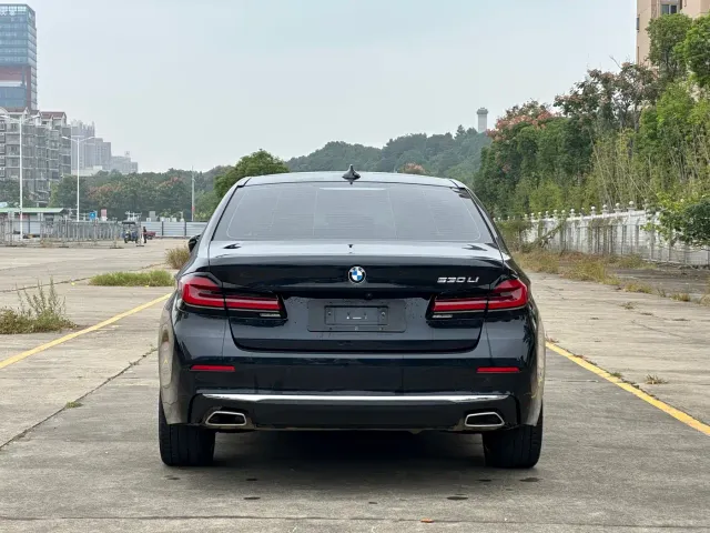 BMW 5 Series — Фото автомобиля 20