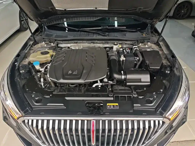 Hongqi H5 — Фото автомобиля 15