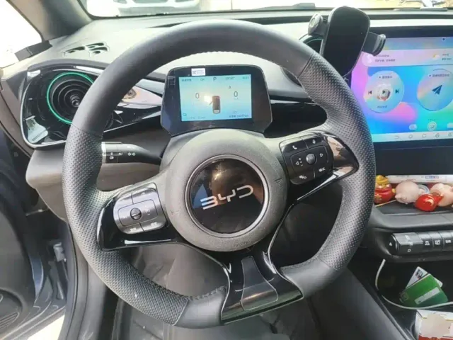 BYD Dolphin 2021 405km Freedom Edition — Фото автомобиля 10