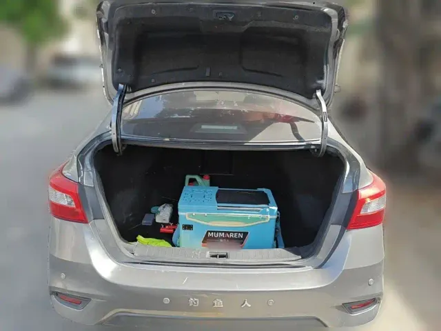 Nissan Sylphy — Фото автомобиля 20