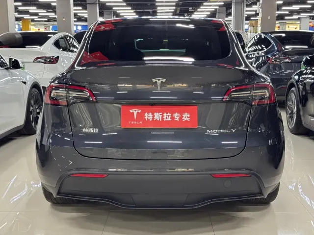 Tesla Model Y — Фото автомобиля 8