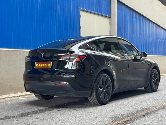 Tesla Model Y — Фото автомобиля 7