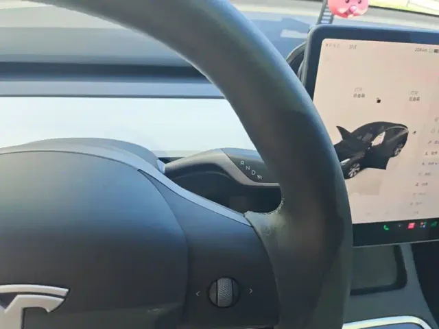 Tesla Model Y — Фото автомобиля 13