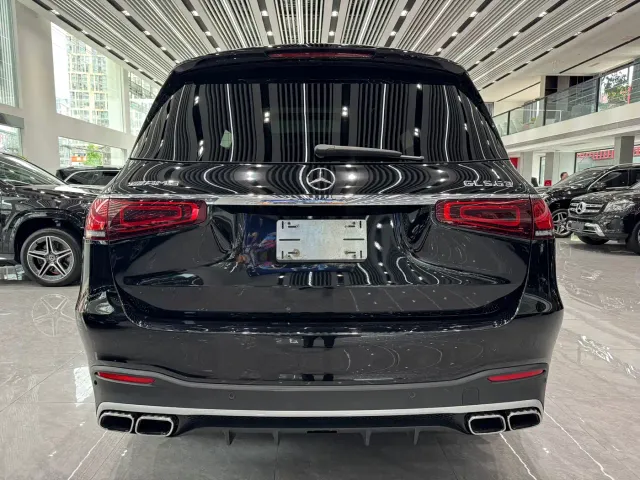 Mercedes-Benz Mercedes-Benz GLS — Фото автомобиля 23