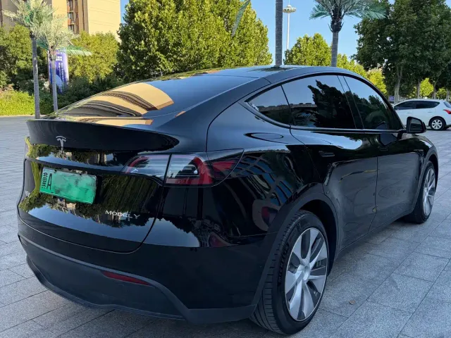 Tesla Model Y — Фото автомобиля 6