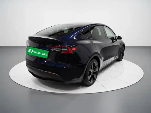 Tesla Model Y — Фото автомобиля 4