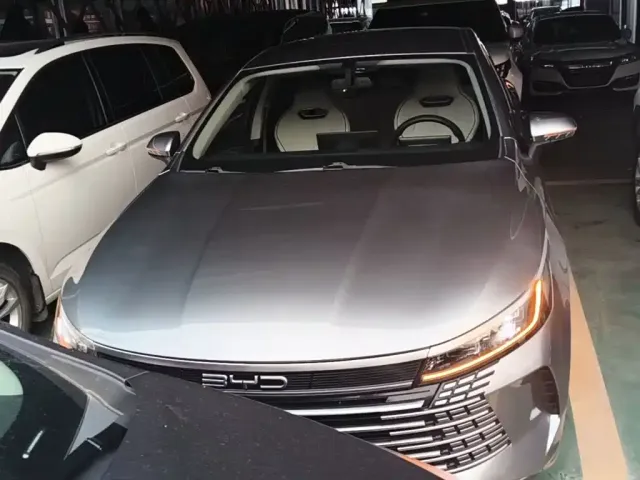 BYD Destroyer 05 2024 Glory Edition DM-i 55KM Luxury — Фото автомобиля 2