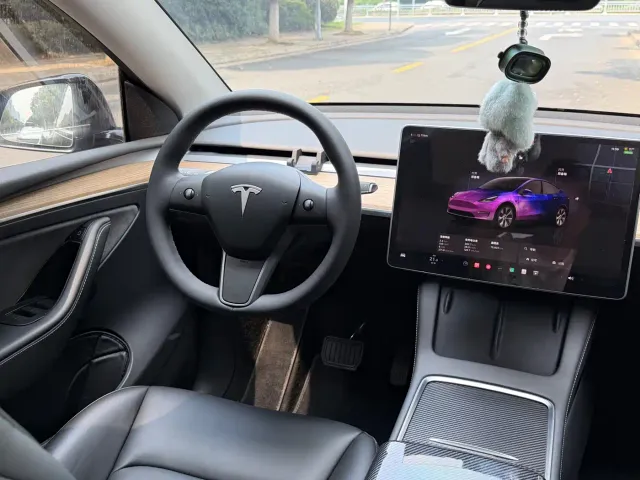 Tesla Model Y — Фото автомобиля 12