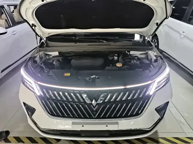 Wuling Jiachen — Фото автомобиля 19