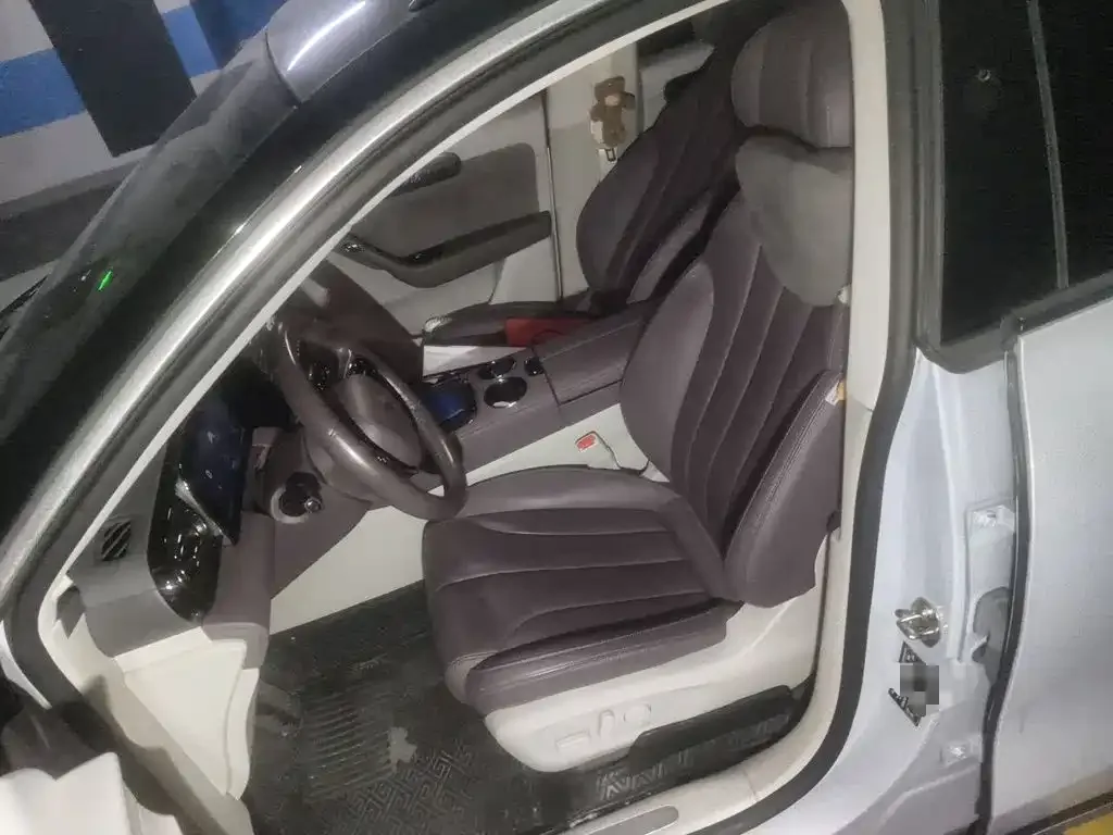 Leapmotor Leapmotor C11 2021 Facelift Luxury Edition — Фото автомобиля 11
