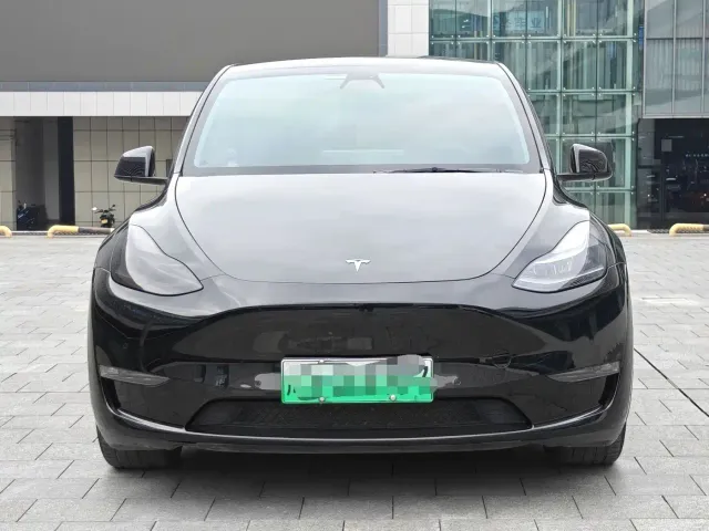 Tesla Model Y — Фото автомобиля 2