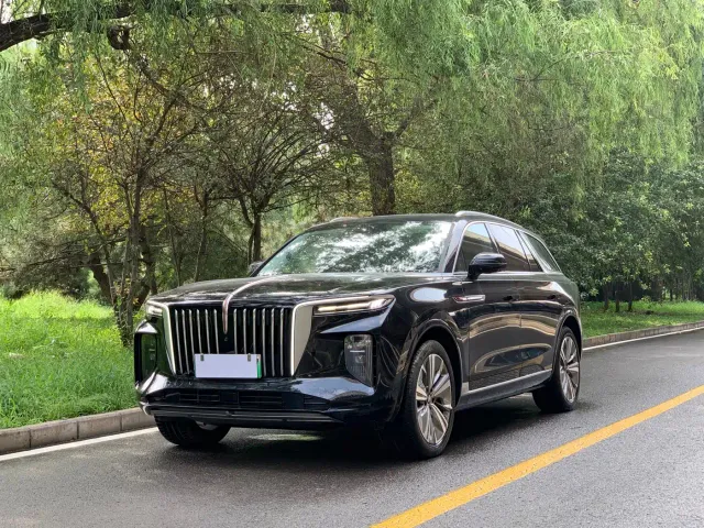 Фотография автомобиля — Hongqi E-HS9