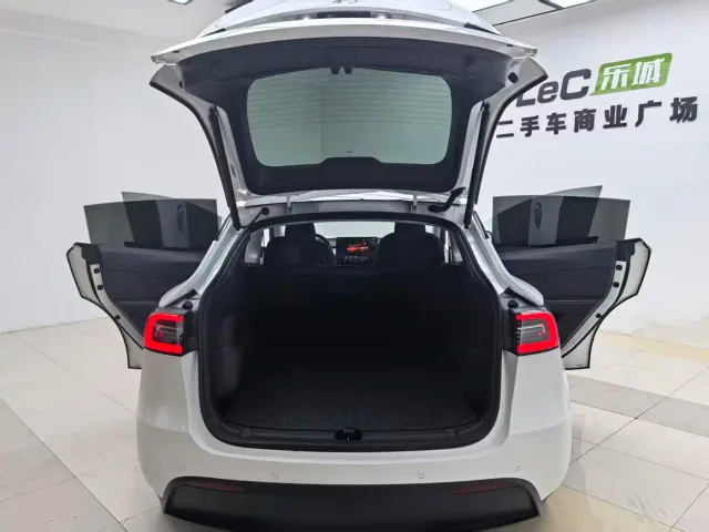 Tesla Model Y — Фото автомобиля 11