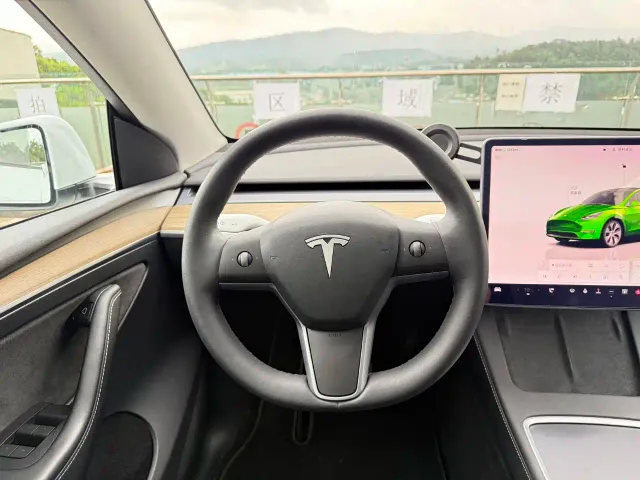 Tesla Model Y — Фото автомобиля 8