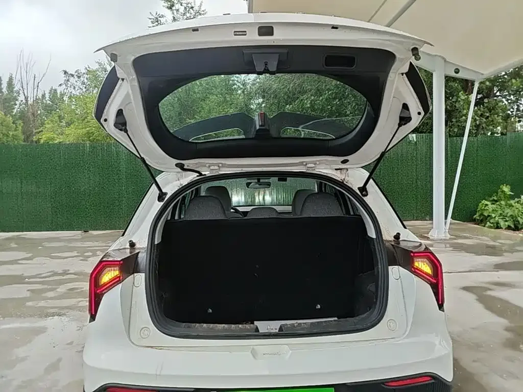 Geely Geometry Geely Geometry E Firefly 2024 Model 301km Light Flow — Фото автомобиля 18