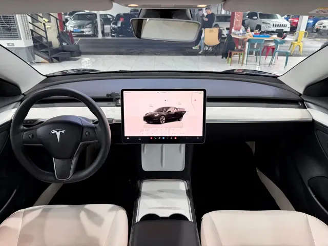Tesla Model 3 — Фото автомобиля 10
