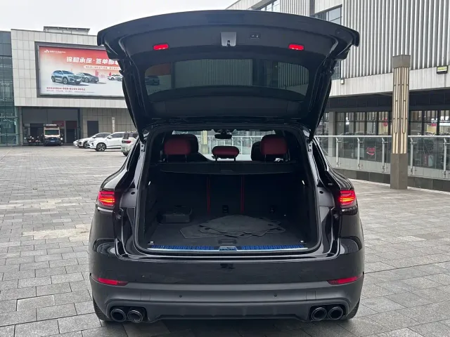Porsche Cayenne — Фото автомобиля 19