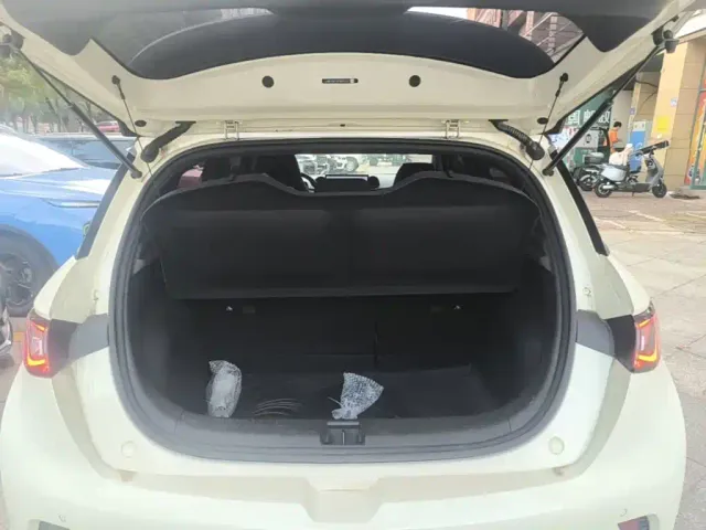 BYD Dolphin — Фото автомобиля 14