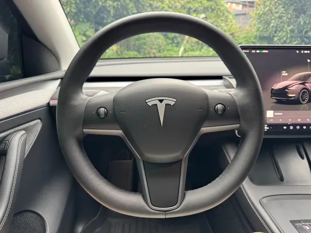 Tesla Model Y — Фото автомобиля 8