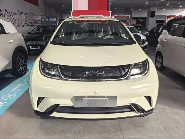 BYD Dolphin — Фото автомобиля 2