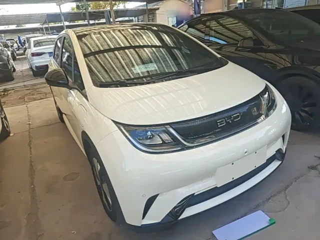 BYD Dolphin — Фото автомобиля 3