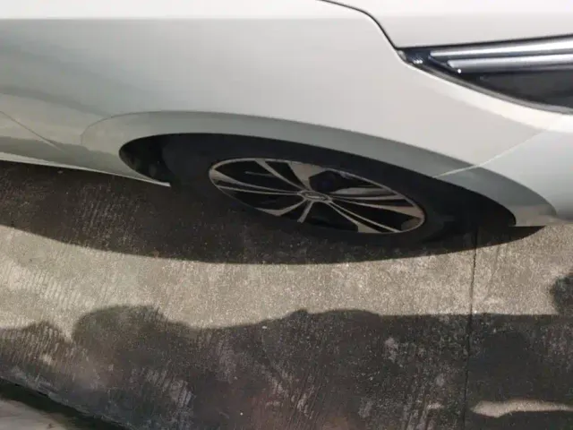 Nissan Sylphy — Фото автомобиля 6