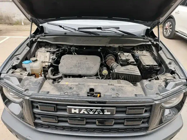 Haval Big Dog — Фото автомобиля 19