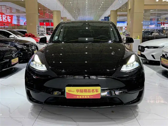 Tesla Model Y — Фото автомобиля 2