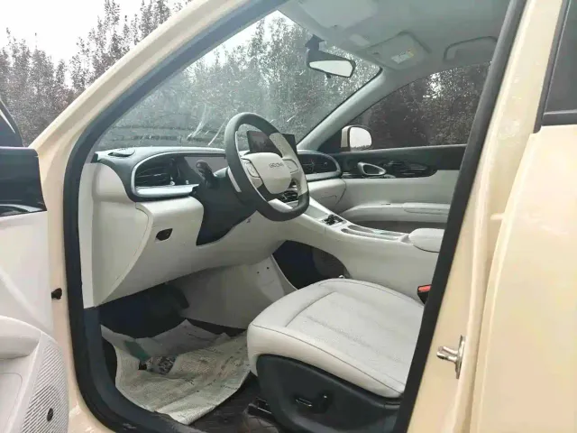 Geely Starry Wish — Фото автомобиля 4
