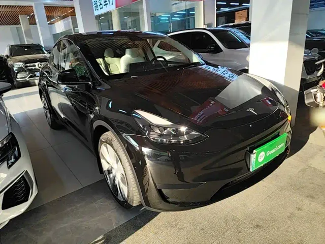Tesla Model Y — Фото автомобиля 3
