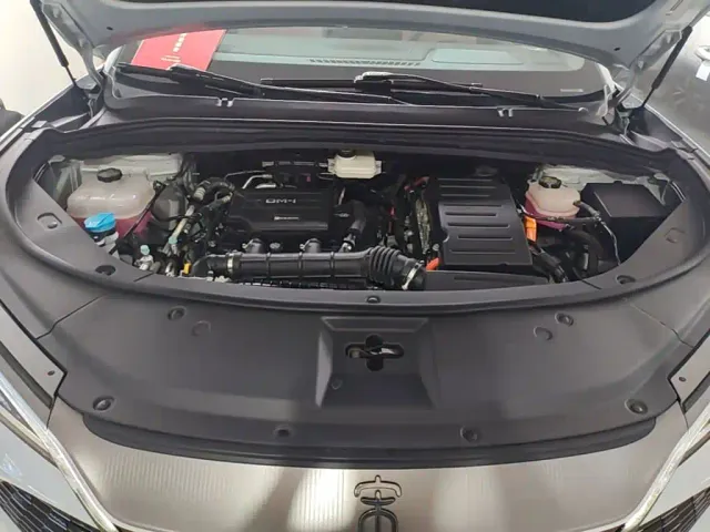 BYD Song L DM-i — Фото автомобиля 19