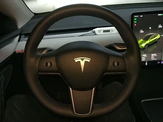 Tesla Model Y — Фото автомобиля 10