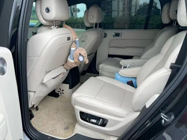 Li Auto L9 — Фото автомобиля 6