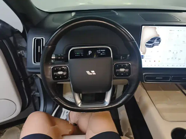 Li Auto L9 — Фото автомобиля 6