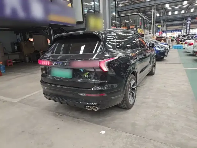 Lynk & Co Lynk & Co 09 EM-P 2021 2.0T PHEV Halo 6-seater — Фото автомобиля 4