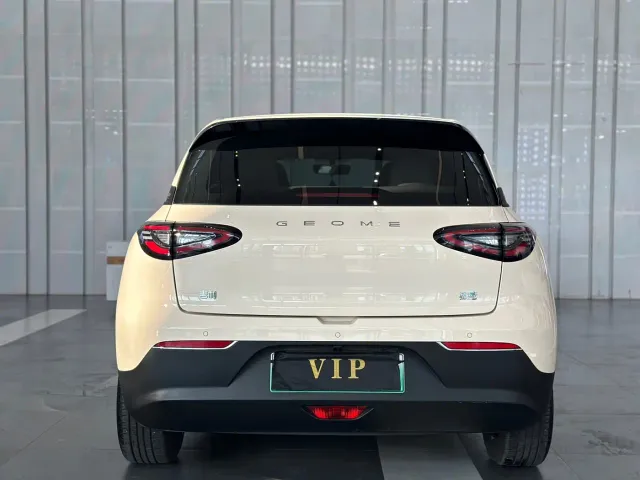 Geely Starry Wish — Фото автомобиля 7