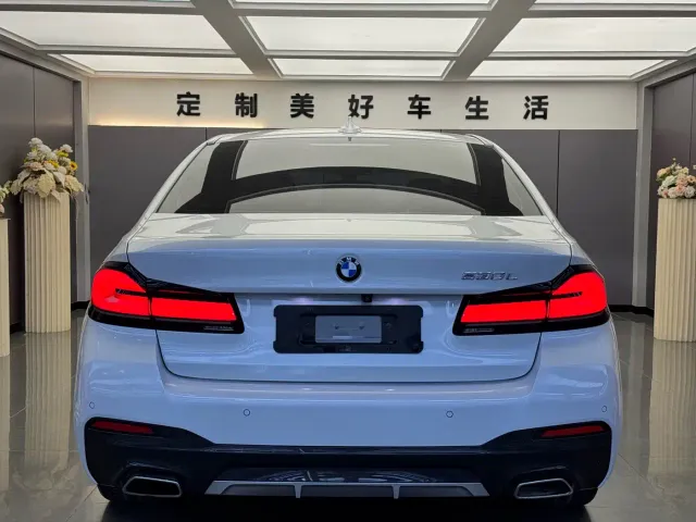 BMW 5 Series — Фото автомобиля 13