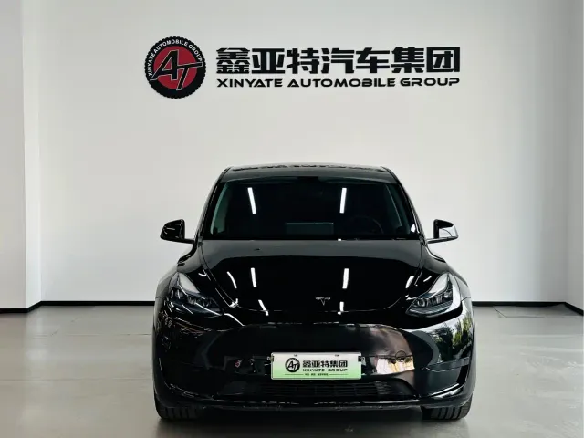 Tesla Model Y — Фото автомобиля 2