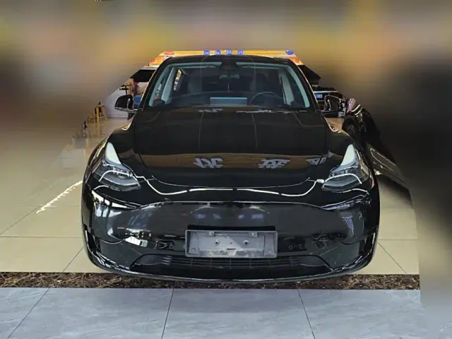 Tesla Model Y — Фото автомобиля 2