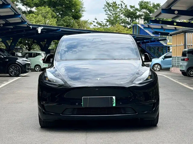 Tesla Model Y — Фото автомобиля 2