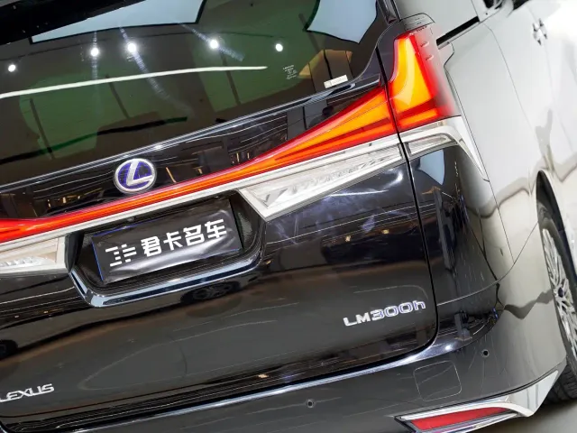 Lexus LM — Фото автомобиля 8