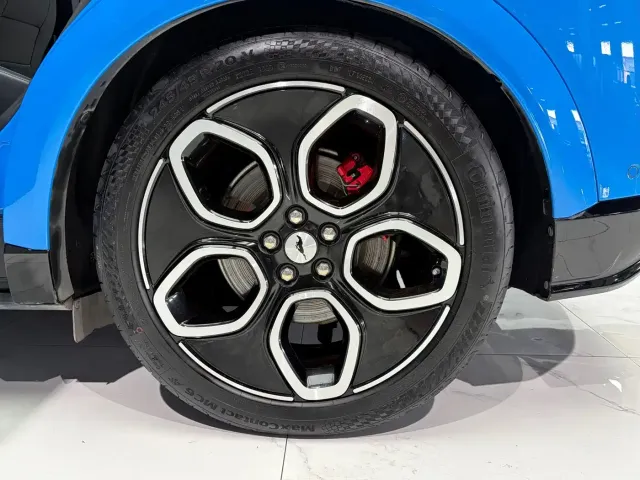 Ford Mustang Mach-E — Фото автомобиля 16