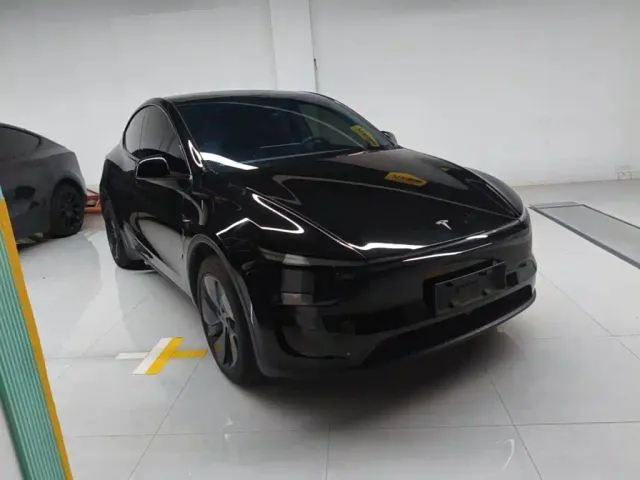 Tesla Model Y — Фото автомобиля 3